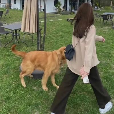 外宿的霍莉